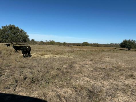 Tbd County Road 436 Rising Star TX 76471
