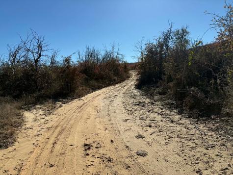 Tbd County Road 436 Rising Star TX 76471