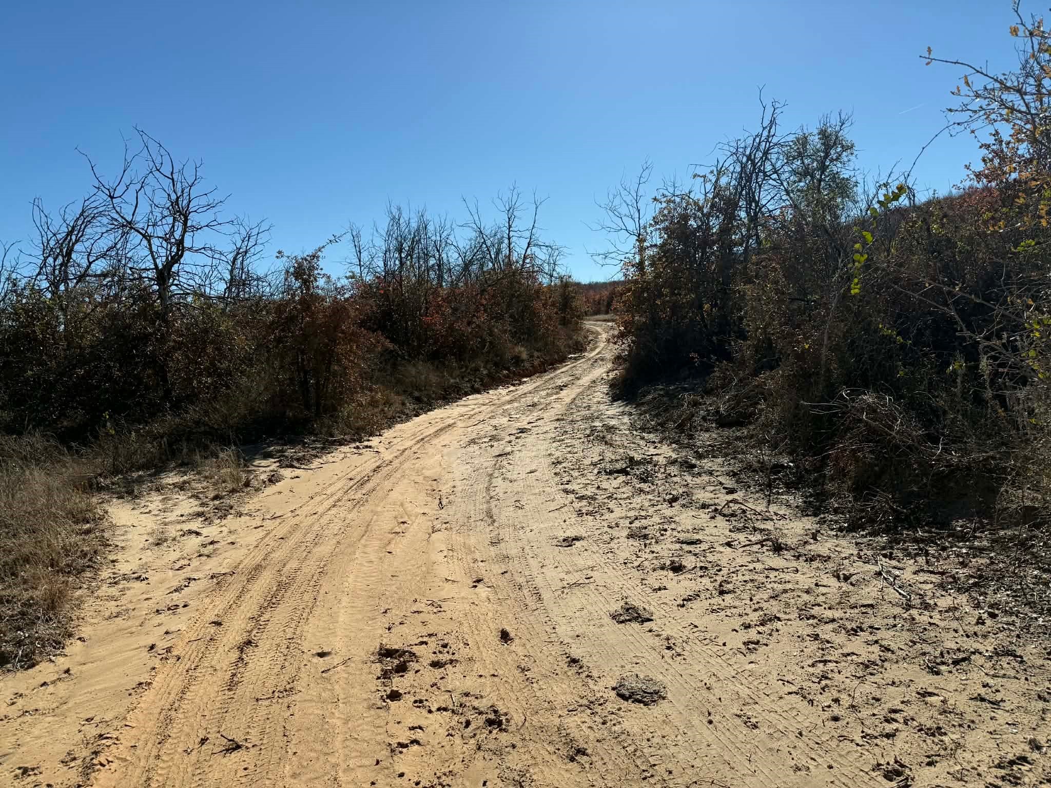 Tbd County Road 436 Rising Star TX 76471