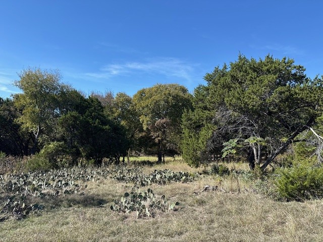 19022 Bluebonnet Drive Whitney TX 76692
