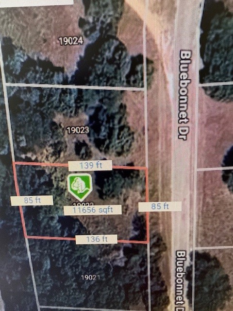 19022 Bluebonnet Drive Whitney TX 76692