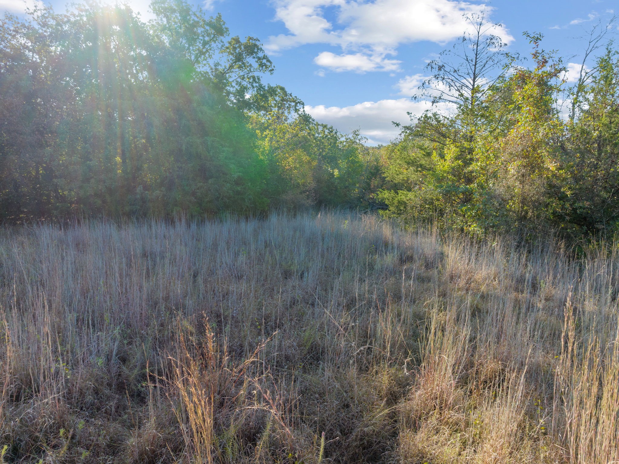 Tbd Scenic Wood Drive Reno TX 76020