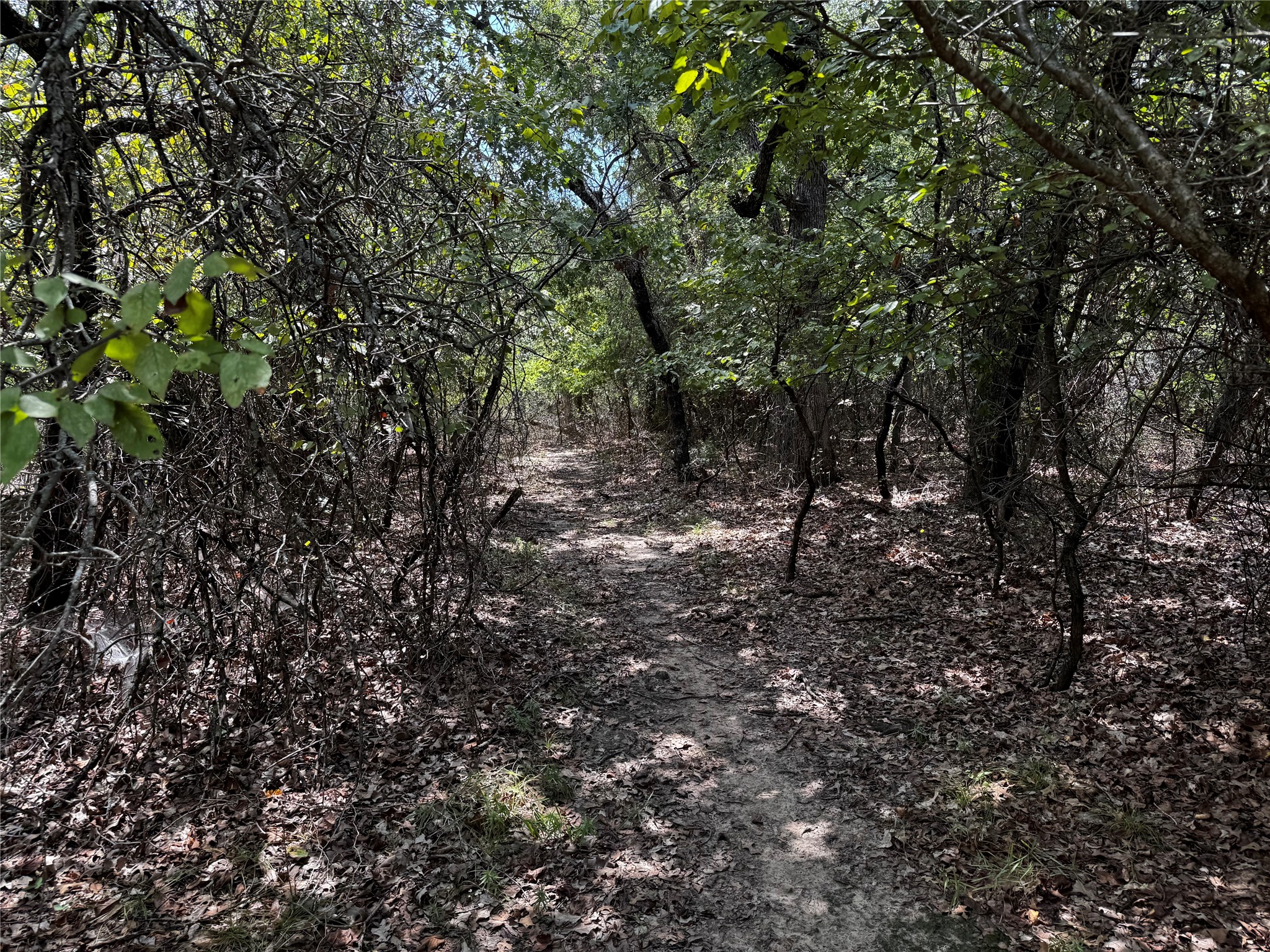Tbd Scenic Wood Drive Reno TX 76020