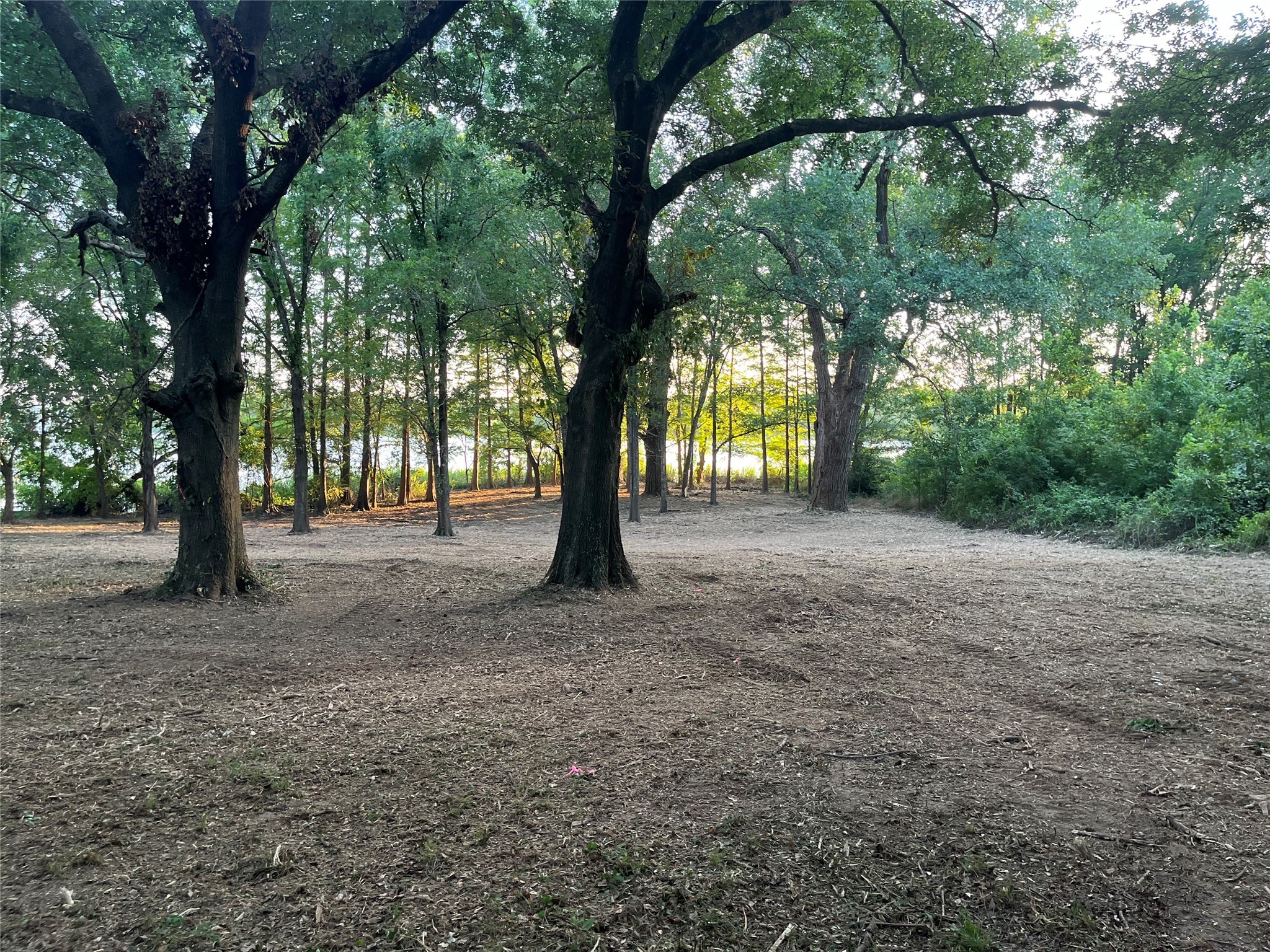 Lot 340 Grand View Drive Athens TX 75752