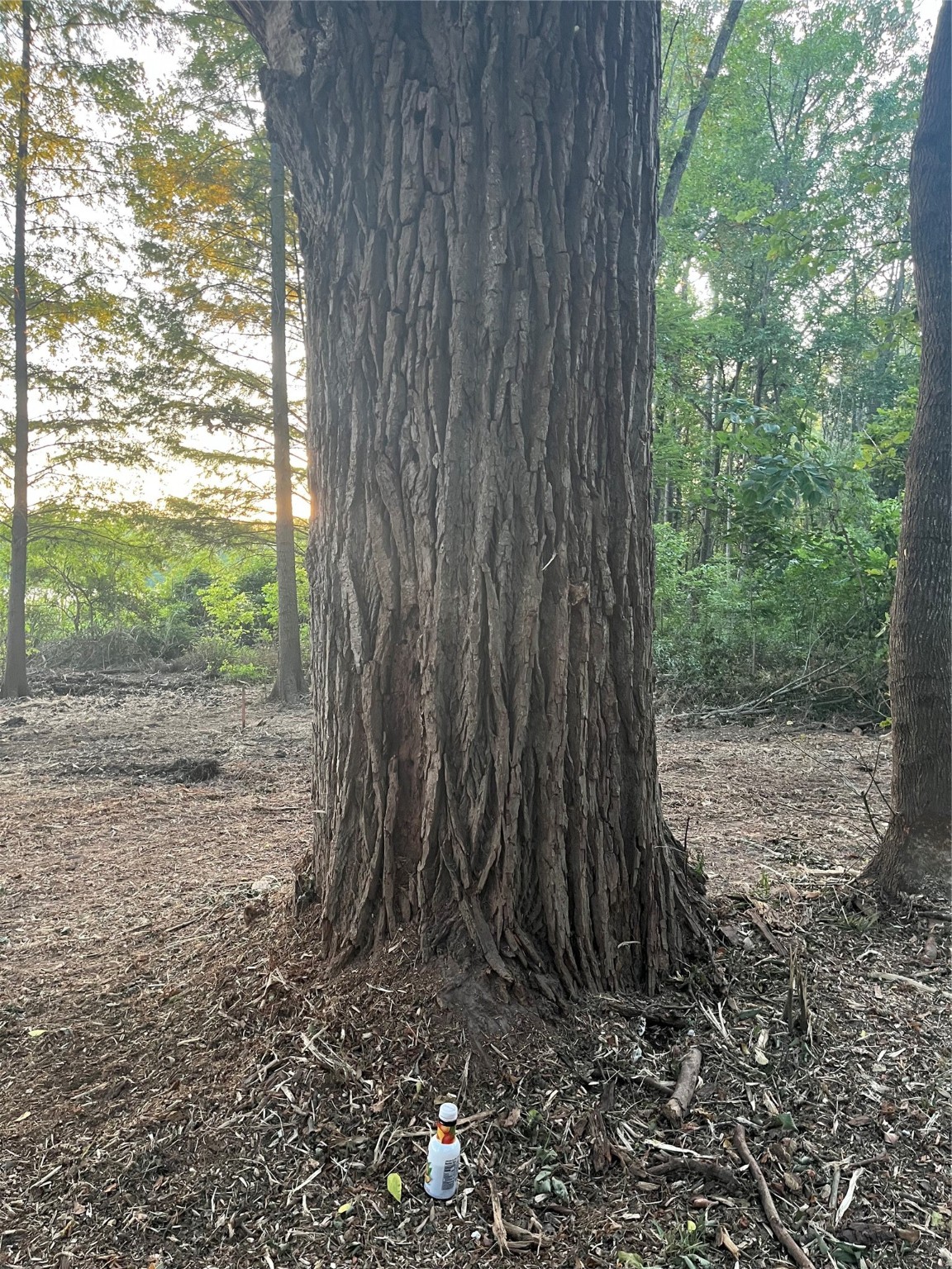 Lot 340 Grand View Drive Athens TX 75752