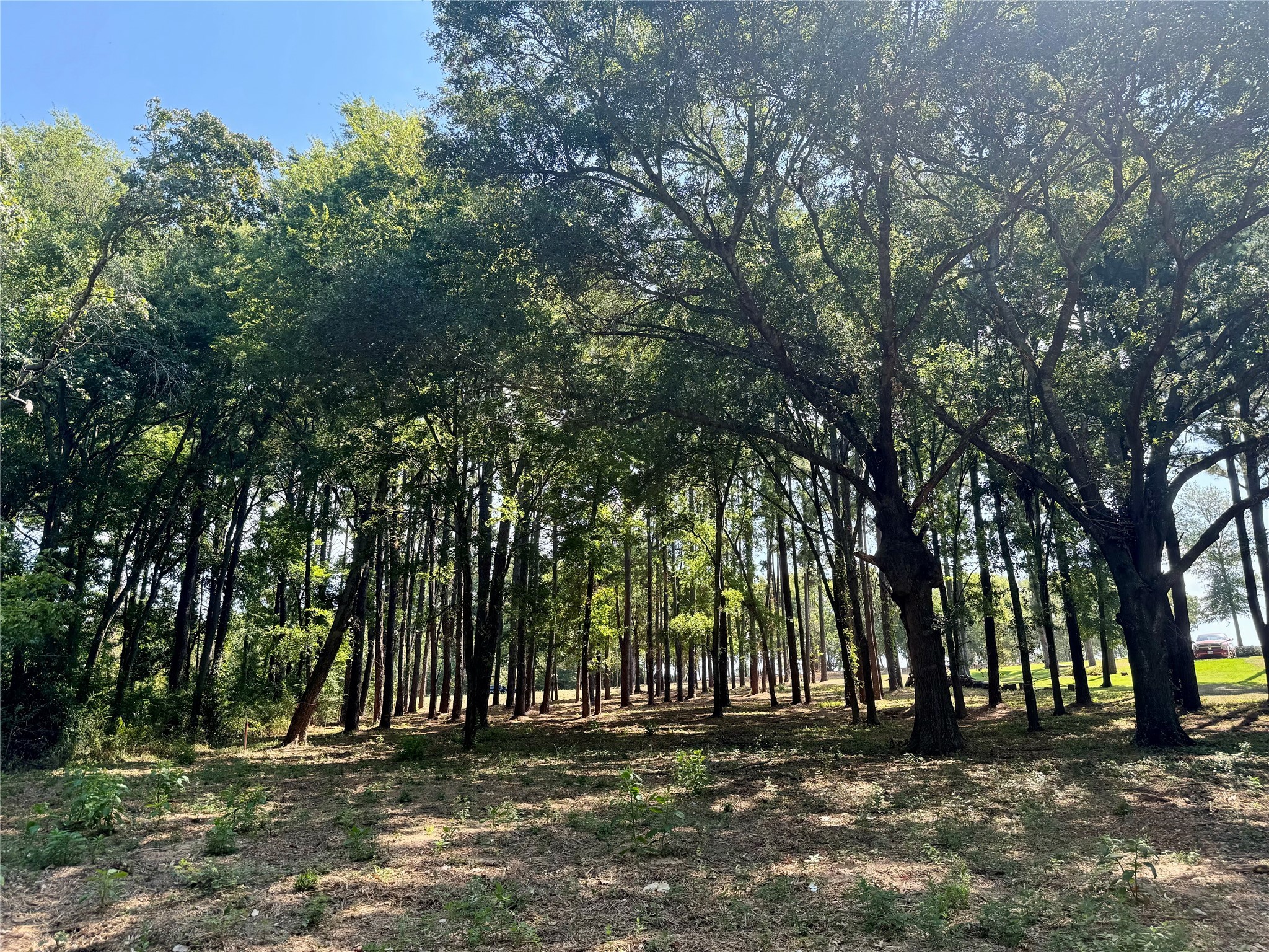 Lot 340 Grand View Drive Athens TX 75752