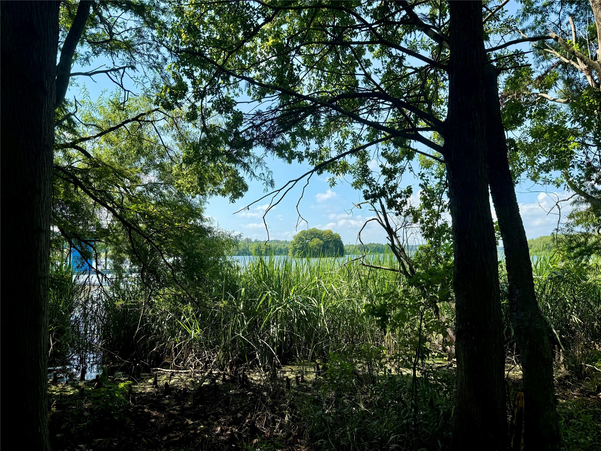 Lot 340 Grand View Drive Athens TX 75752