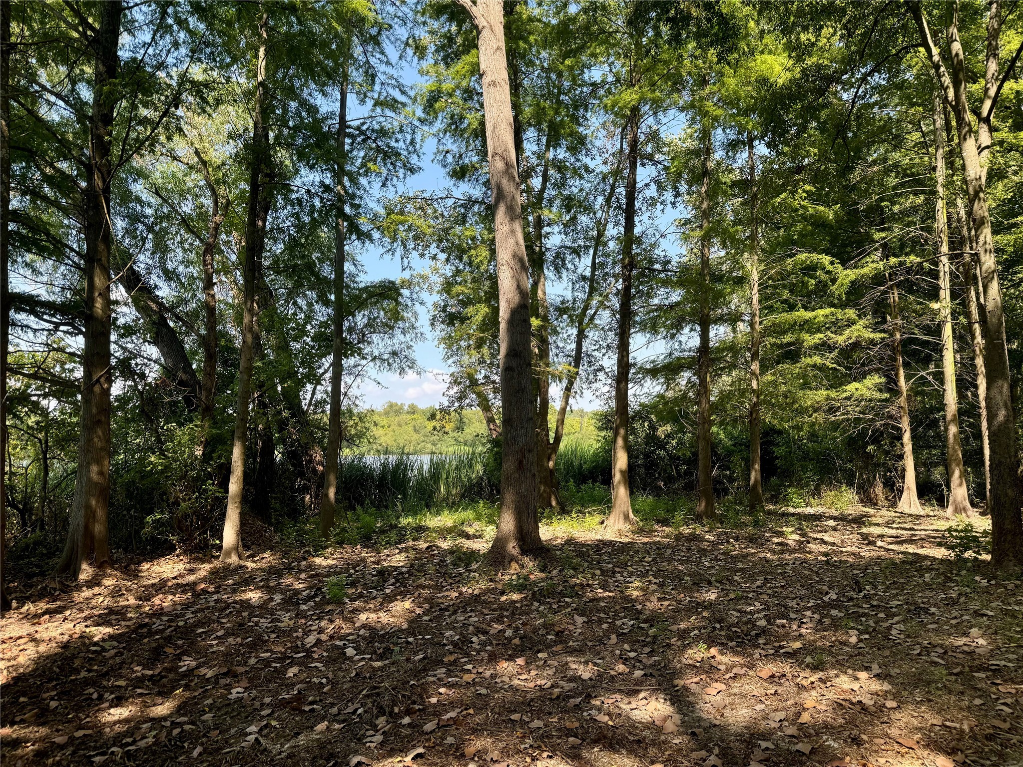 Lot 340 Grand View Drive Athens TX 75752