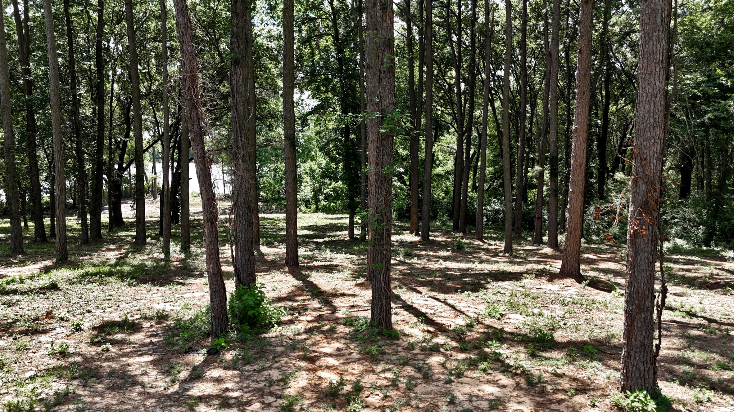 Lot 340 Grand View Drive Athens TX 75752