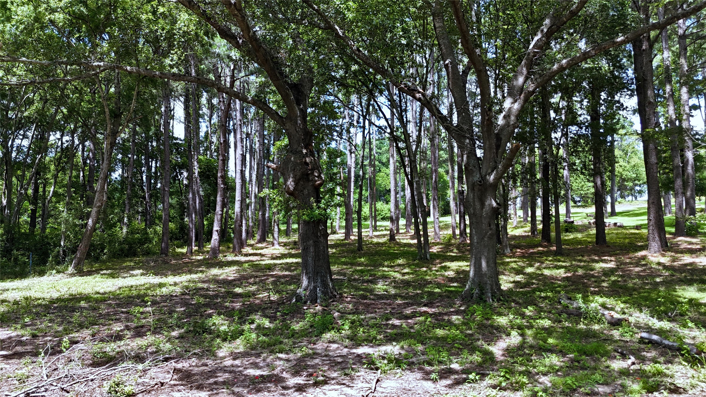 Lot 340 Grand View Drive Athens TX 75752
