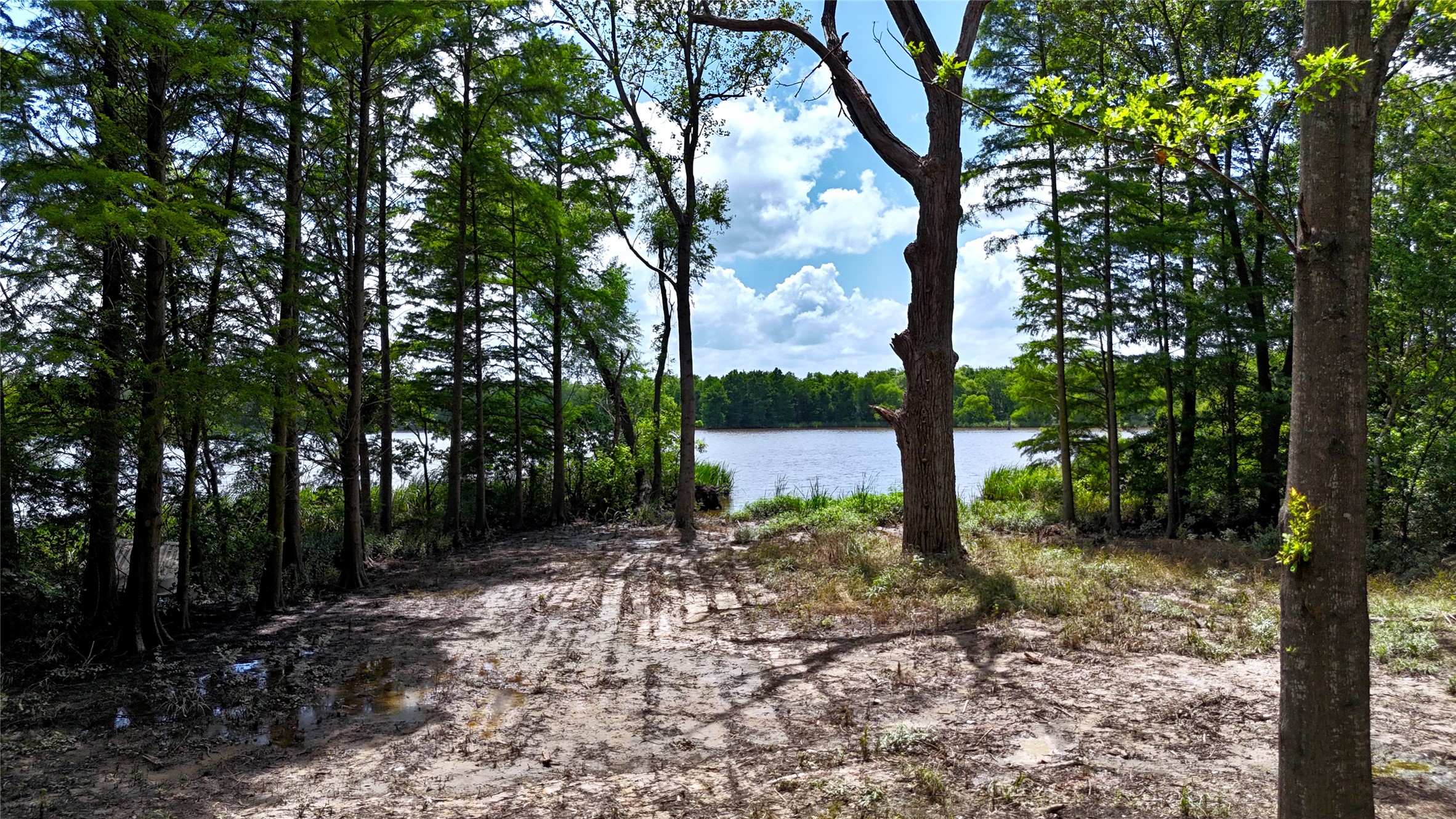 Lot 340 Grand View Drive Athens TX 75752