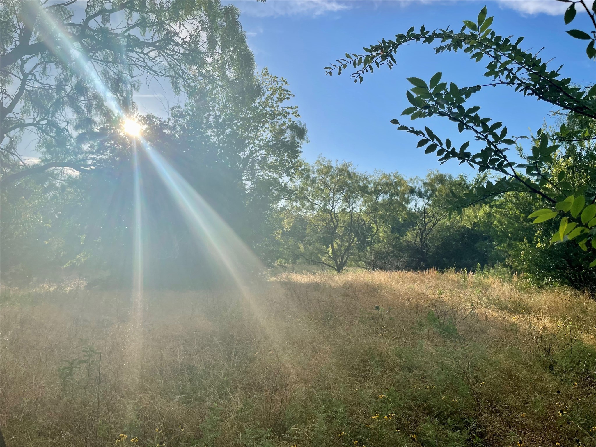 17923-a County Road 4075 Scurry TX 75158