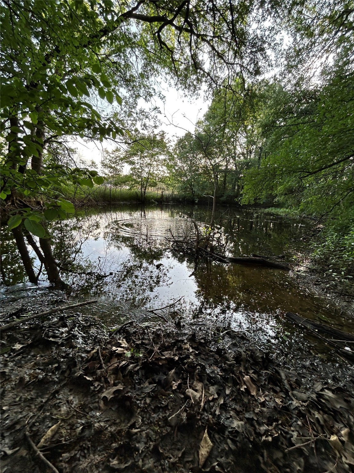 17923-a County Road 4075 Scurry TX 75158