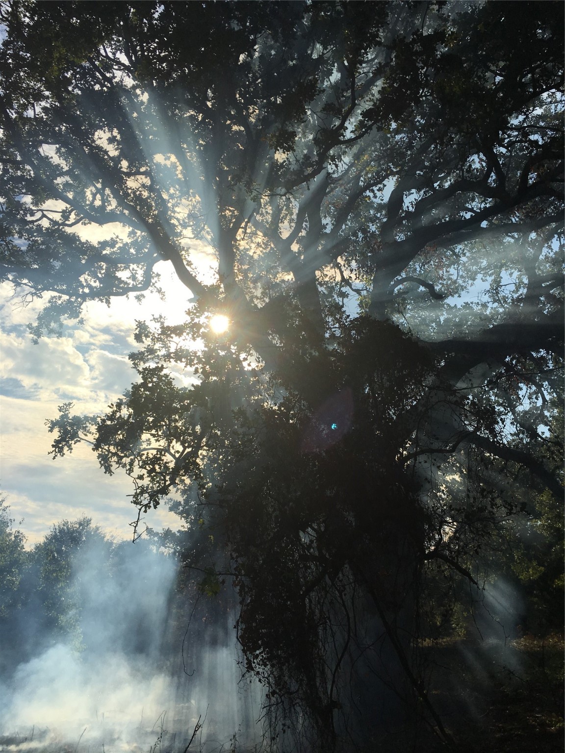 17923-a County Road 4075 Scurry TX 75158