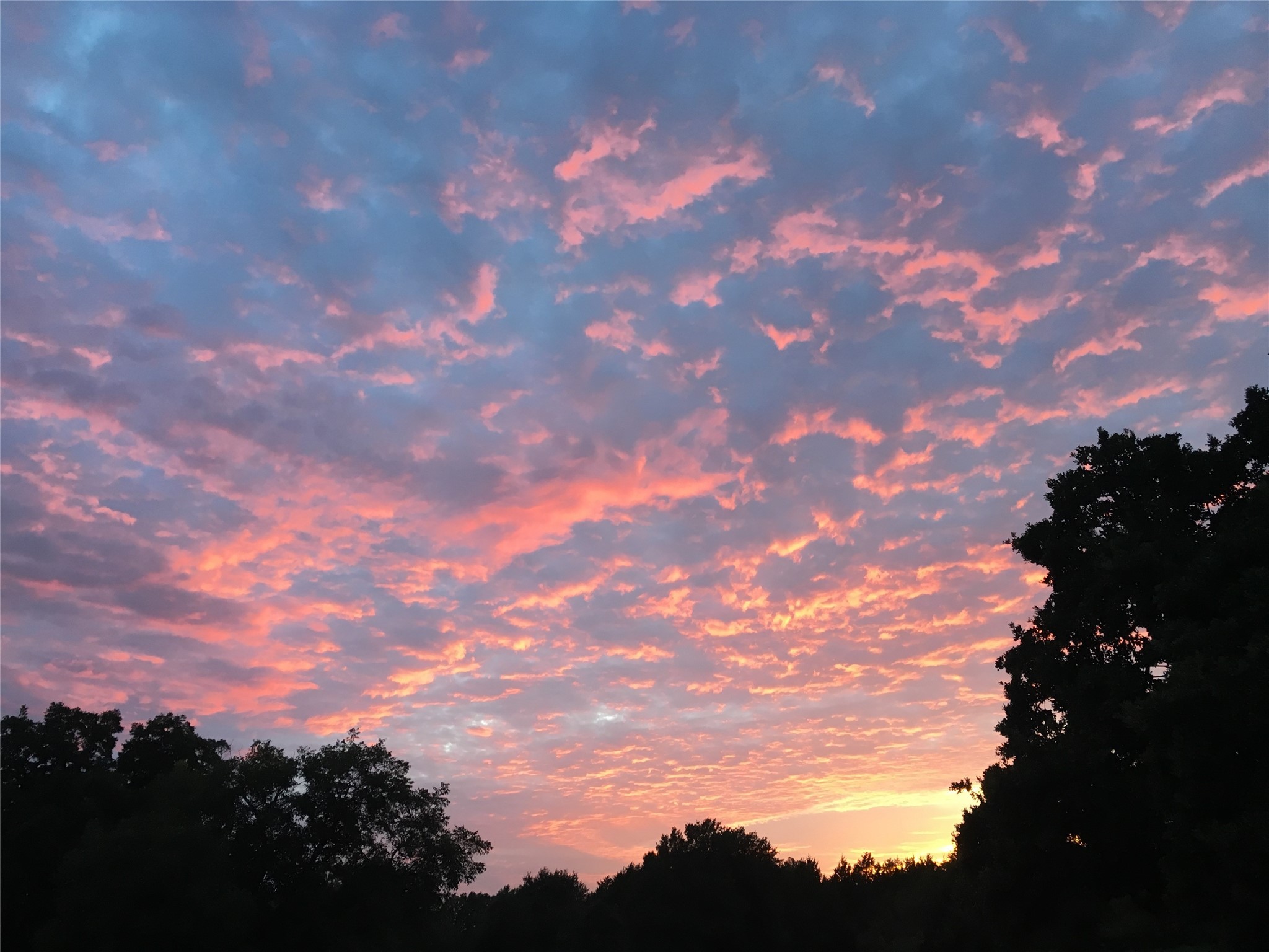 17923-a County Road 4075 Scurry TX 75158