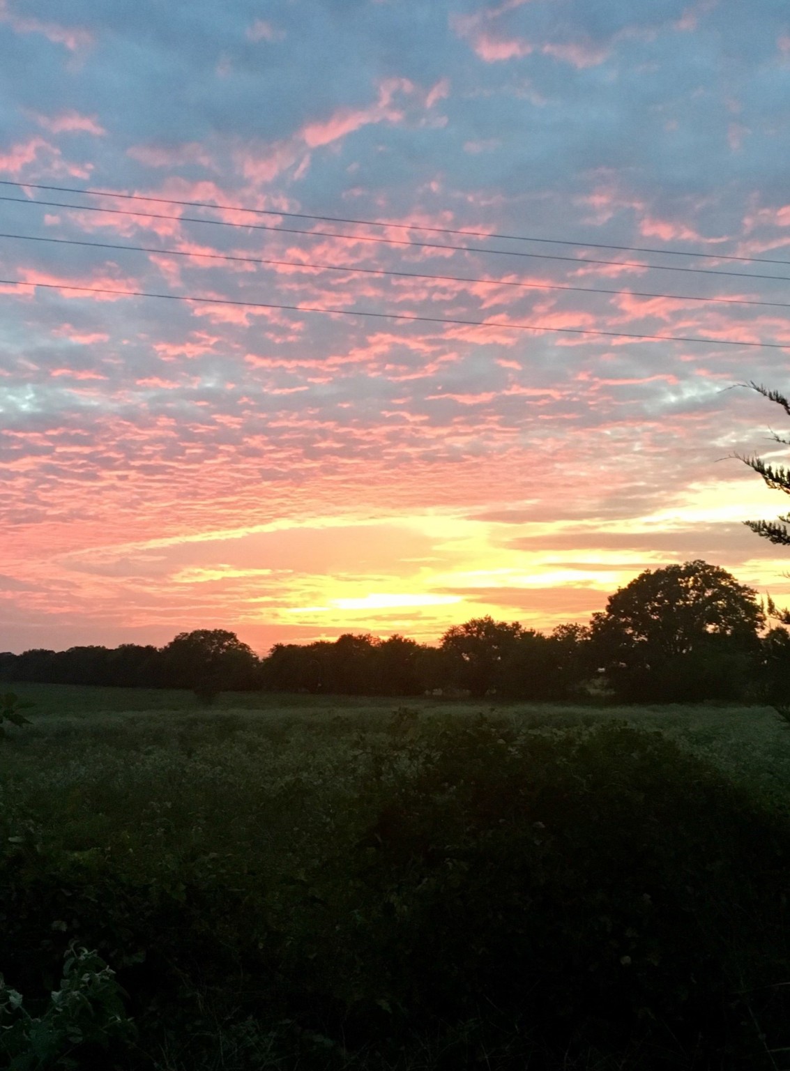 17923-a County Road 4075 Scurry TX 75158