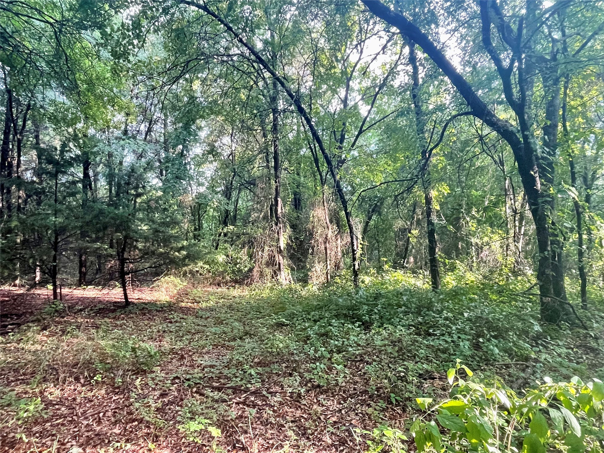 17923-a County Road 4075 Scurry TX 75158