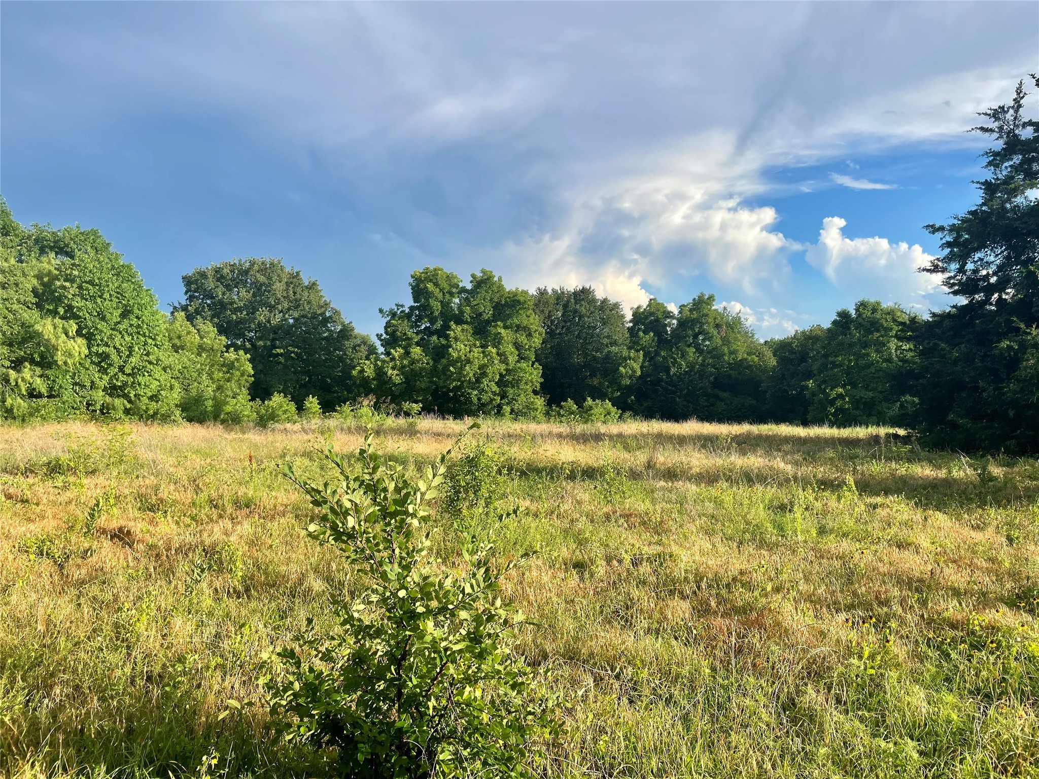 17923-a County Road 4075 Scurry TX 75158