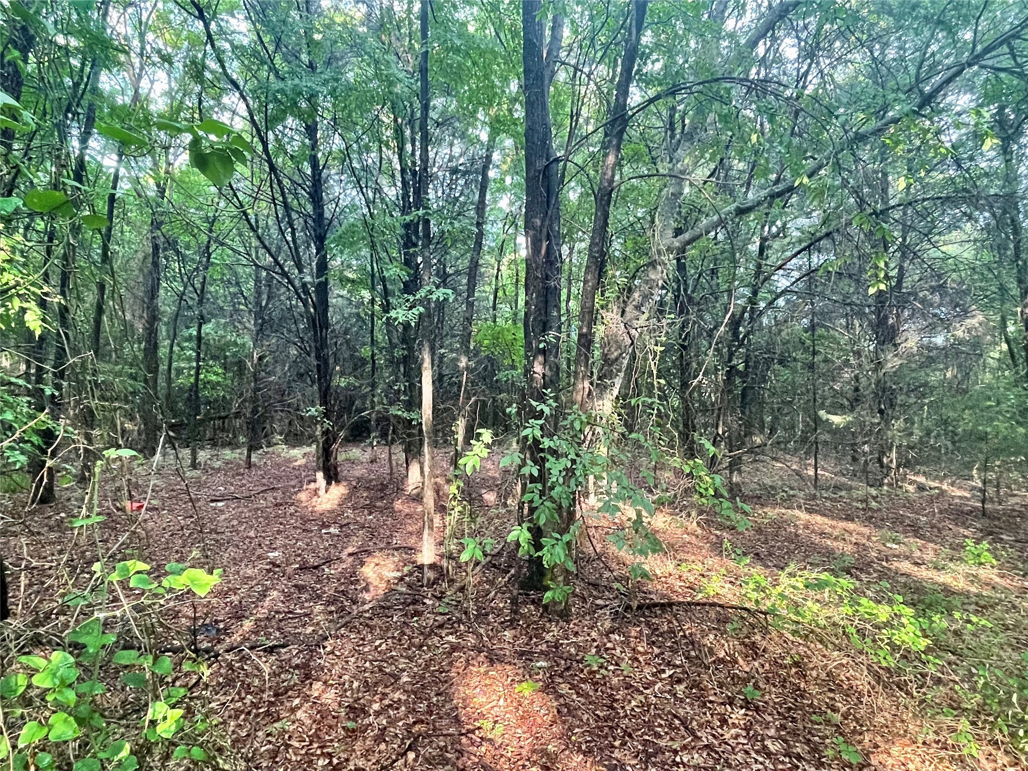 17923-a County Road 4075 Scurry TX 75158