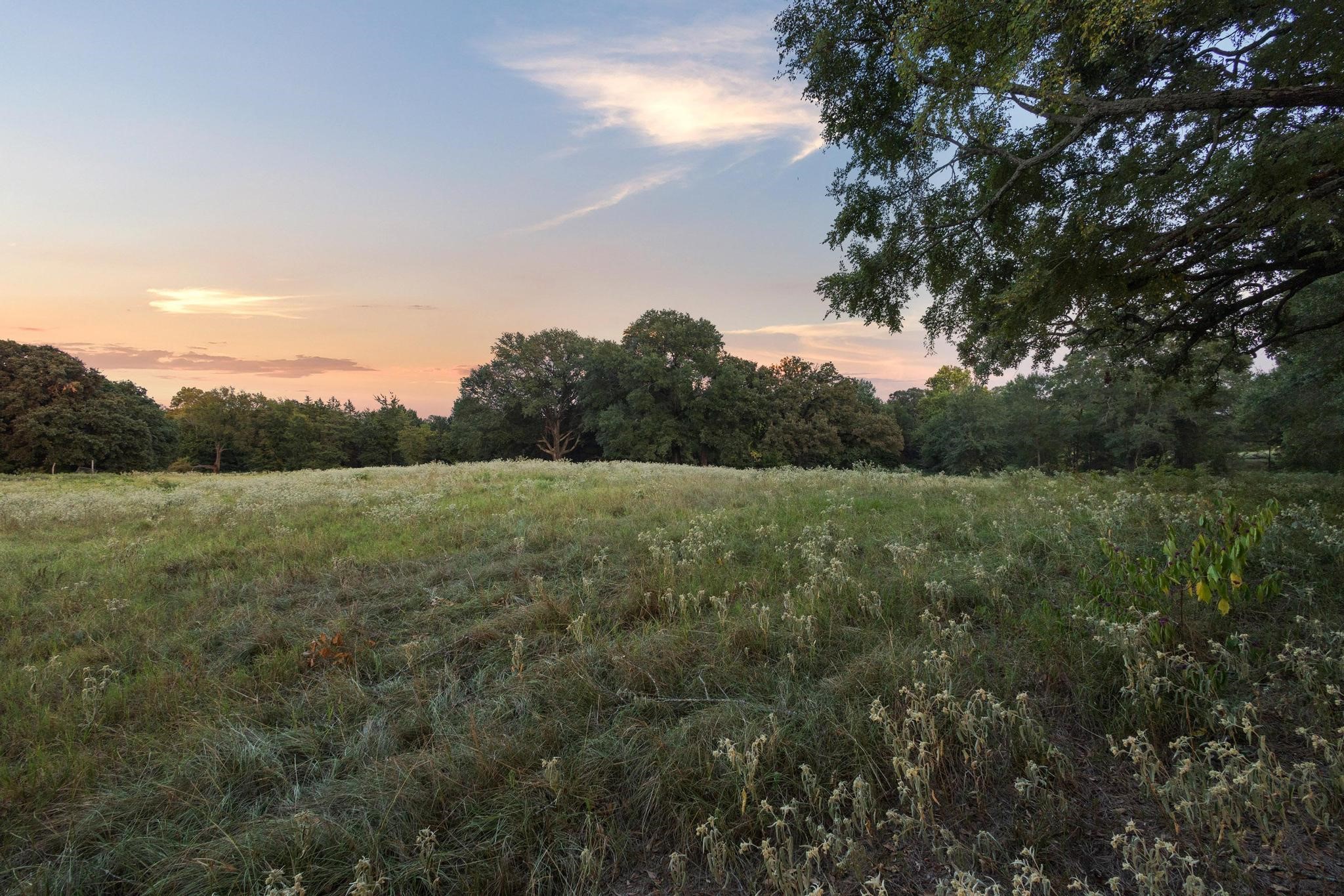 0 County Road 2615 Lamasco TX 75488