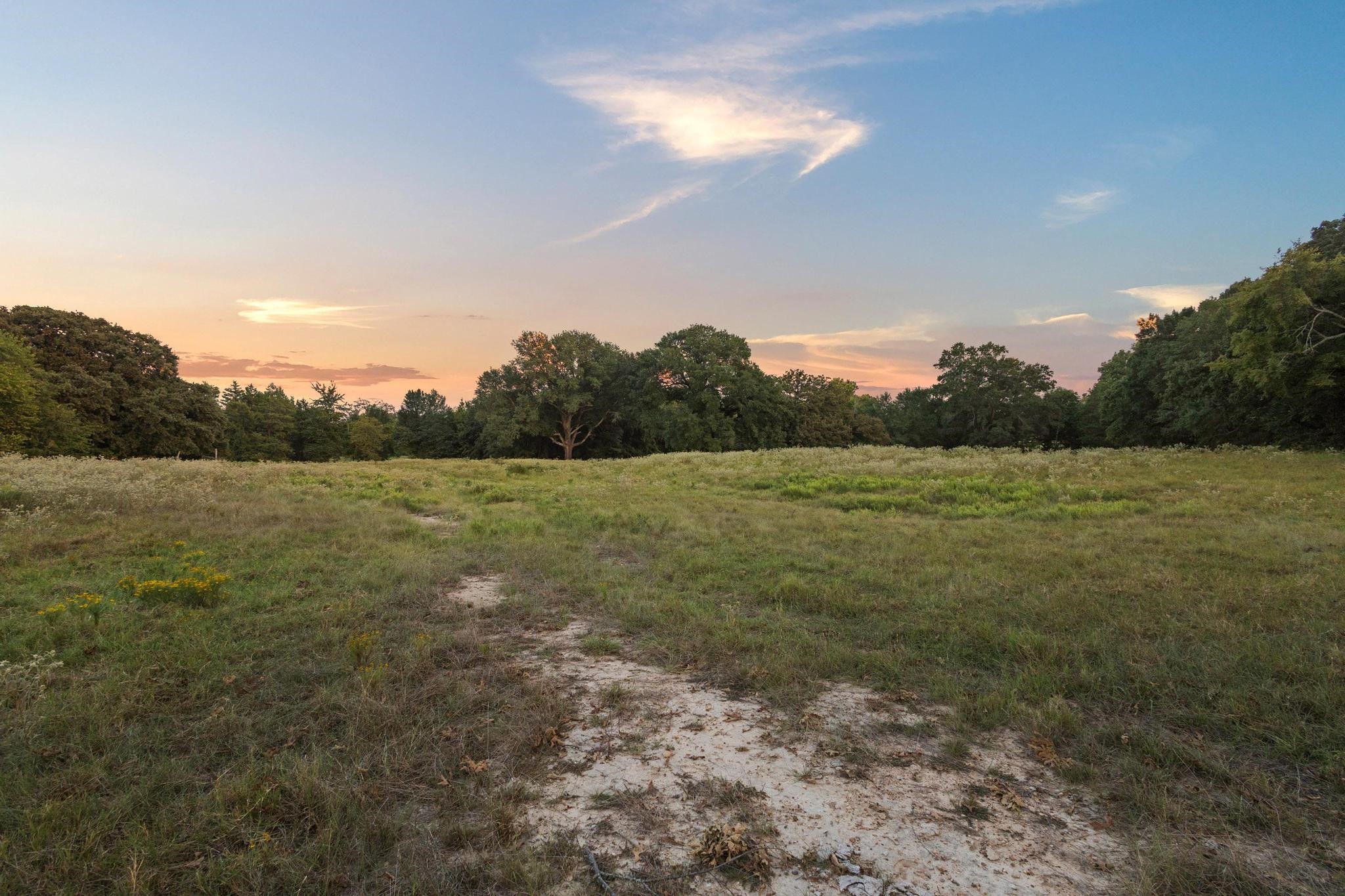 0 County Road 2615 Lamasco TX 75488