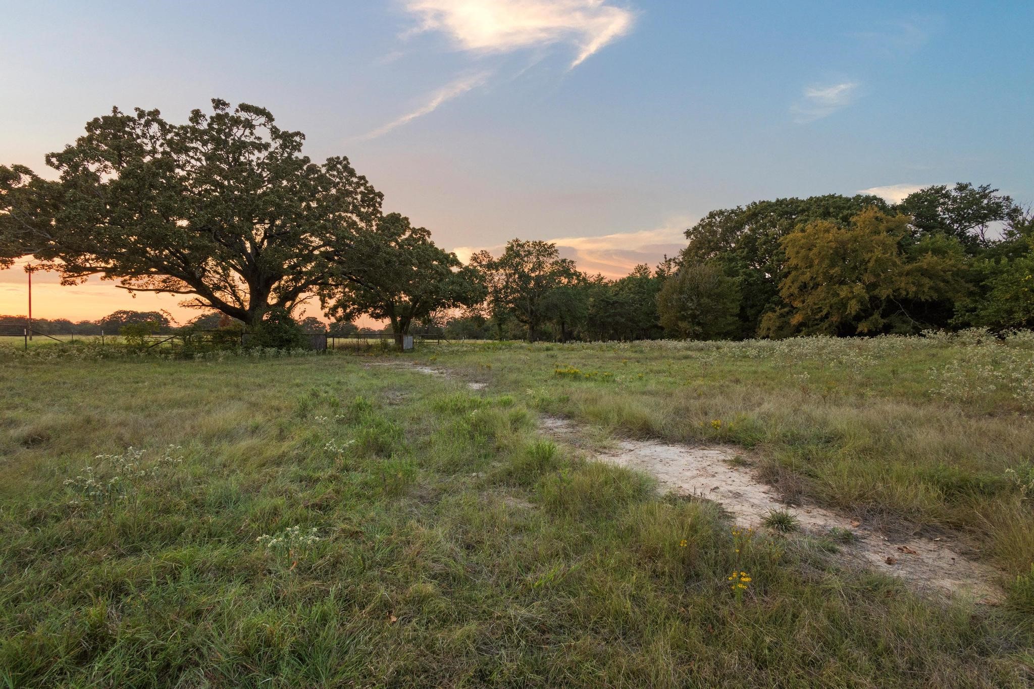 0 County Road 2615 Lamasco TX 75488