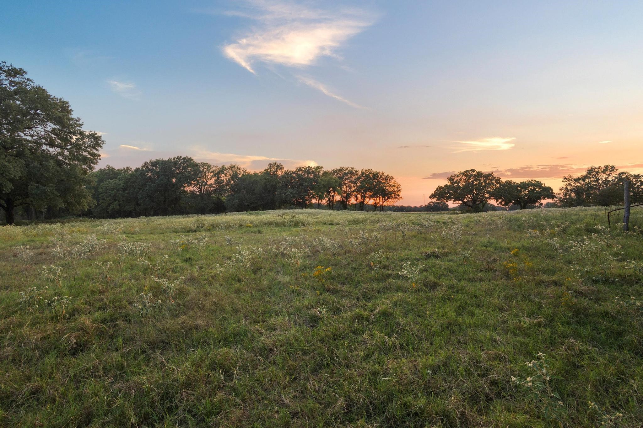 0 County Road 2615 Lamasco TX 75488