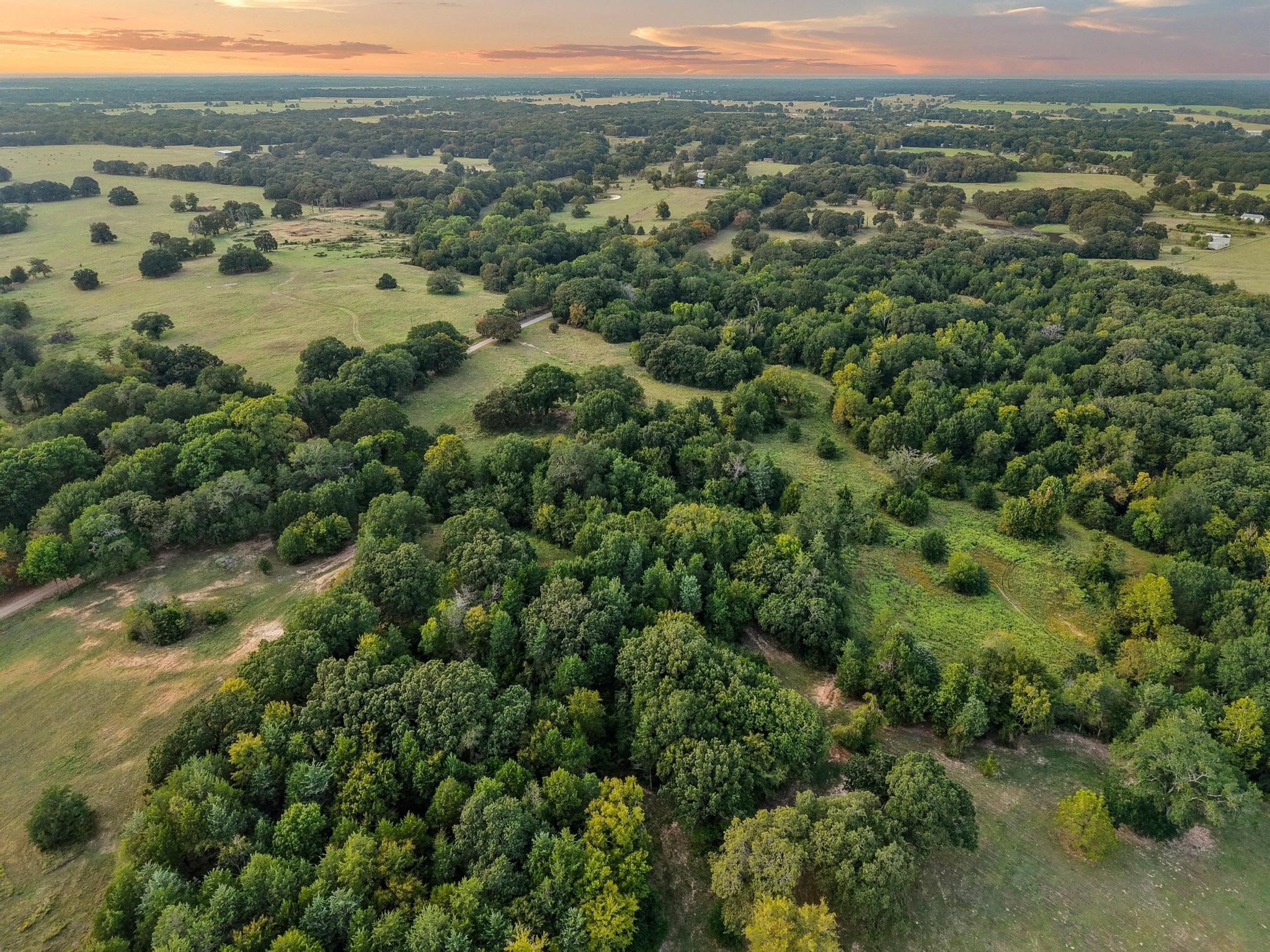0 County Road 2615 Lamasco TX 75488