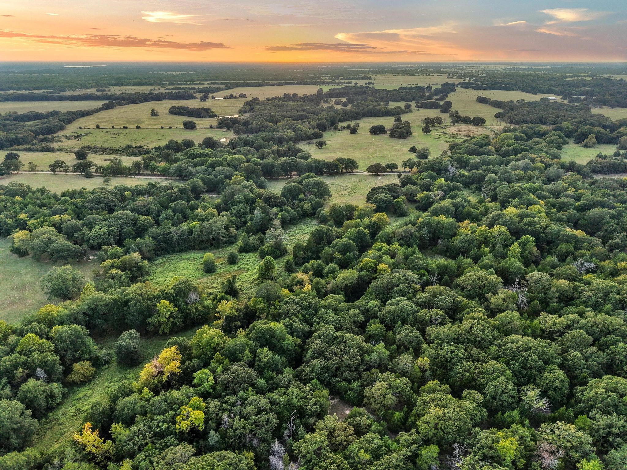 0 County Road 2615 Lamasco TX 75488