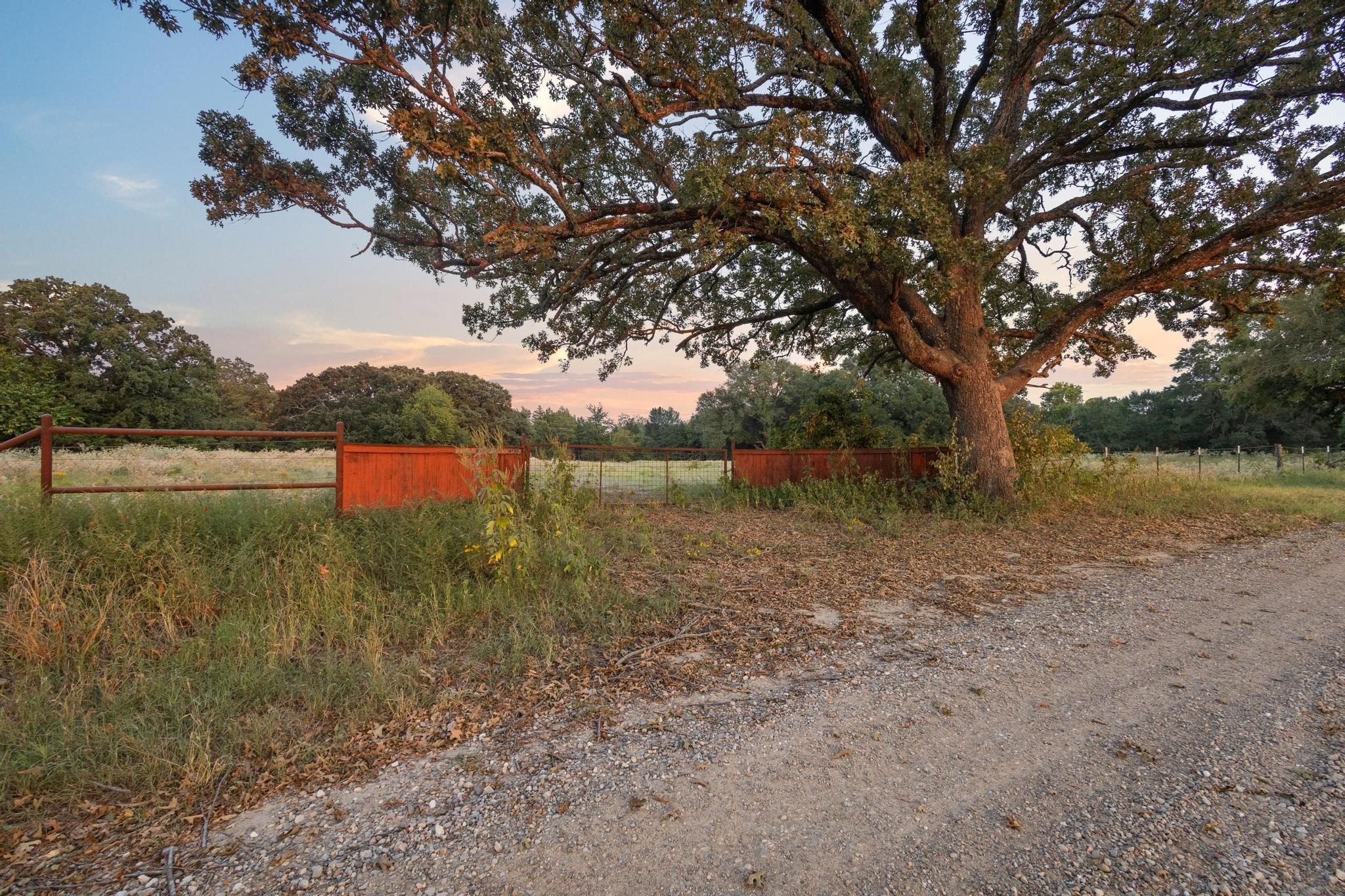 0 County Road 2615 Lamasco TX 75488