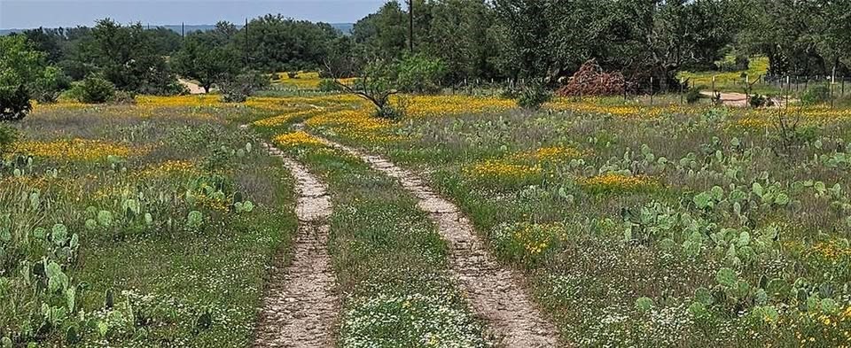 Tbd Starks Road Mason TX 76856