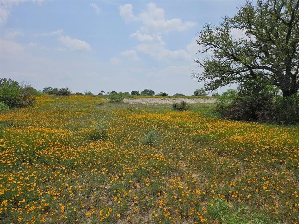 Tbd Starks Road Mason TX 76856