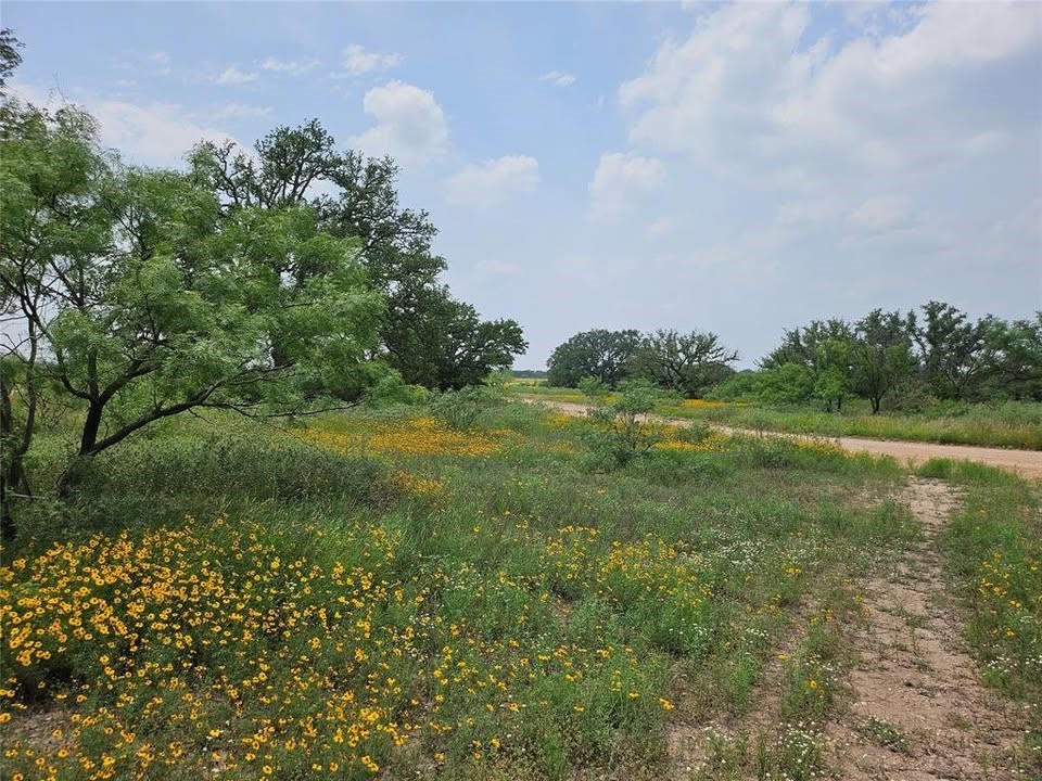 Tbd Starks Road Mason TX 76856