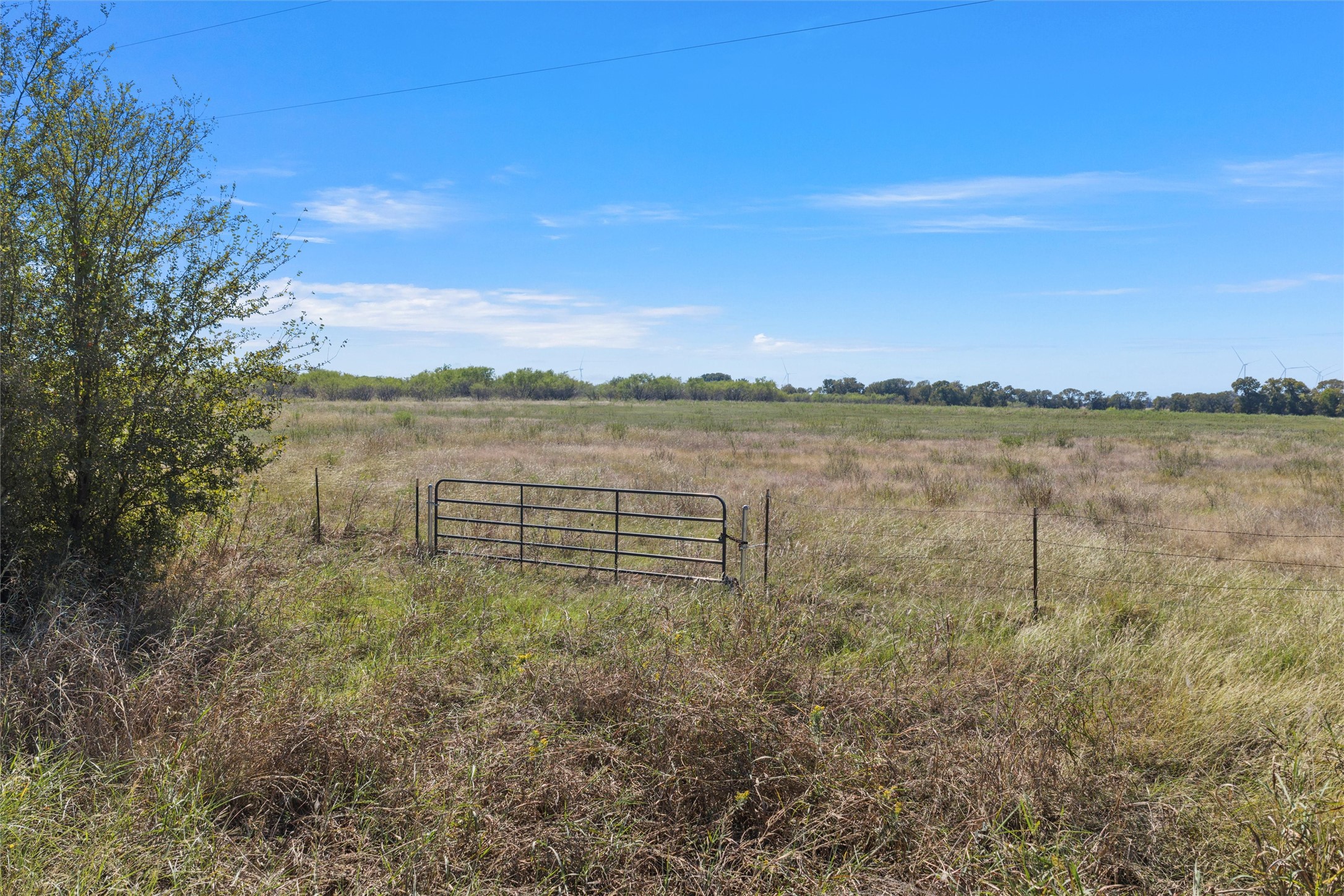 Tbd SW Cr 4200 Purdon TX 76679