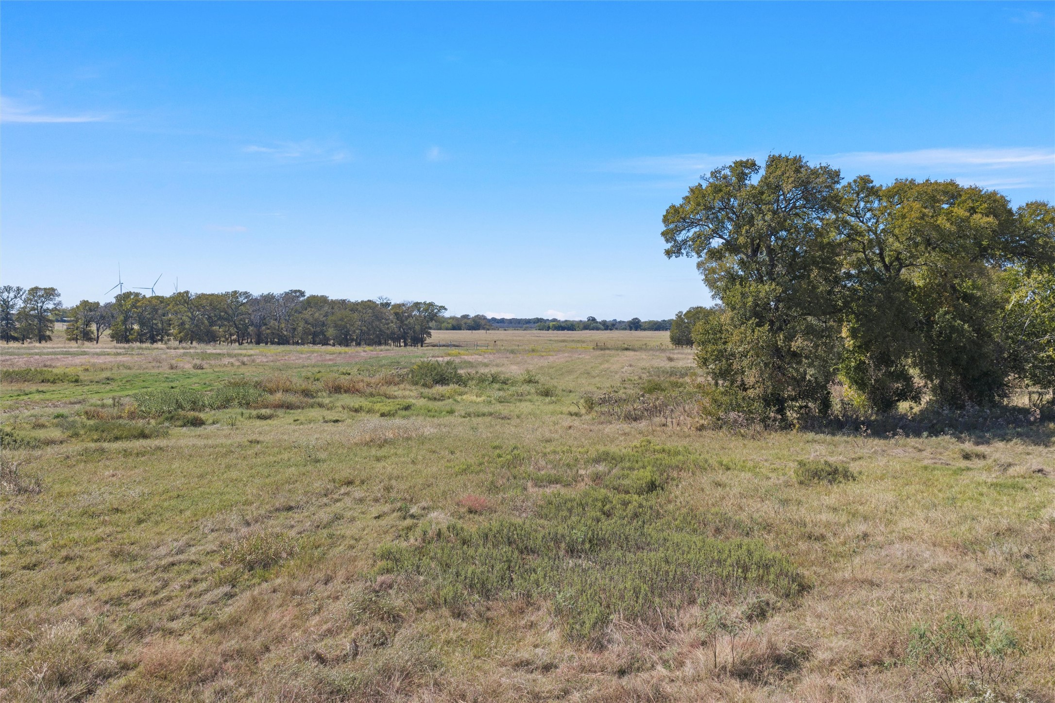 Tbd SW Cr 4200 Purdon TX 76679