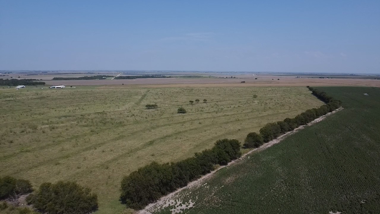 2778 Fm 339 Mount Calm TX 76673
