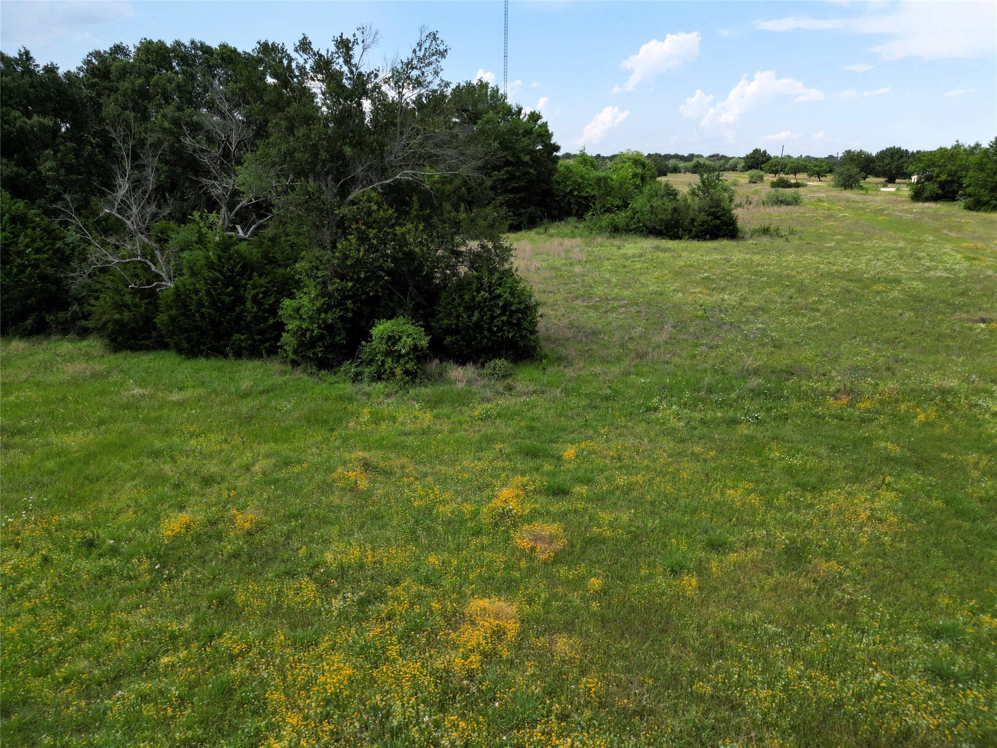 30+/-AC Fm 36 Caddo Mills TX 75135
