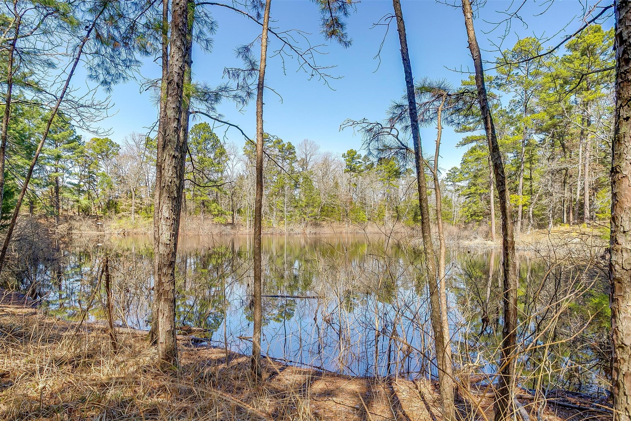439 County Road 3190 Winnsboro TX 75494