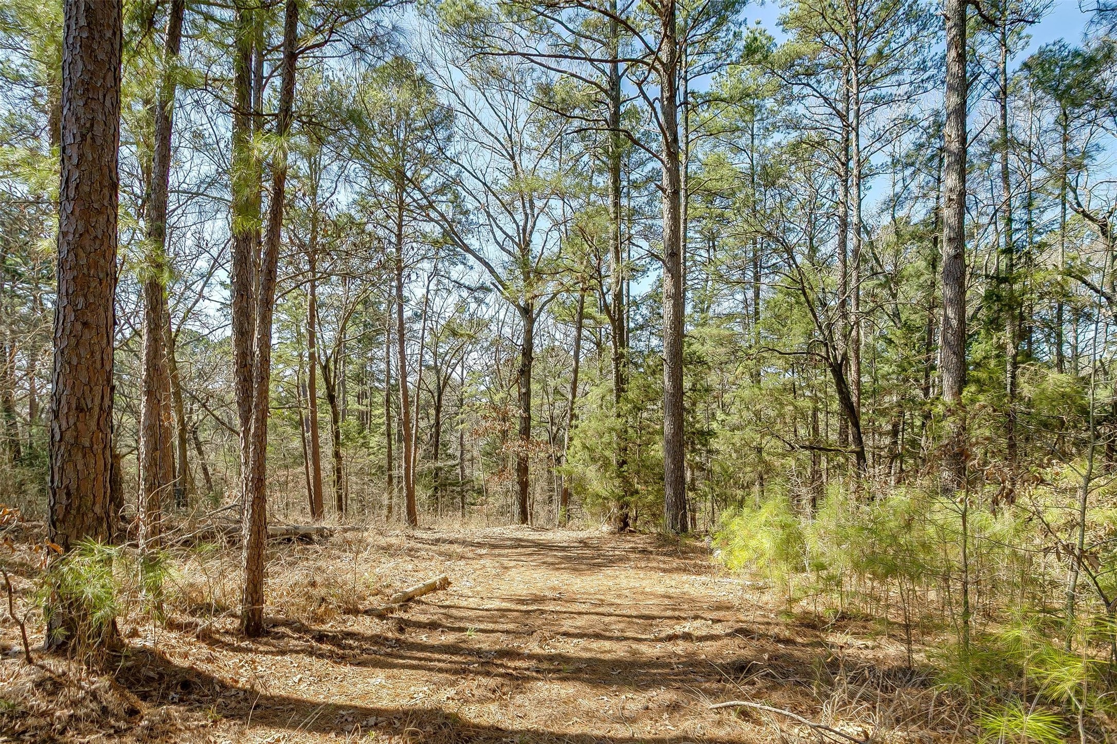 439 County Road 3190 Winnsboro TX 75494