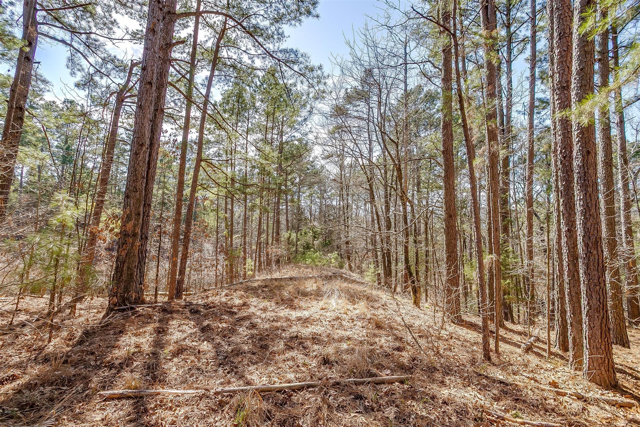 439 County Road 3190 Winnsboro TX 75494