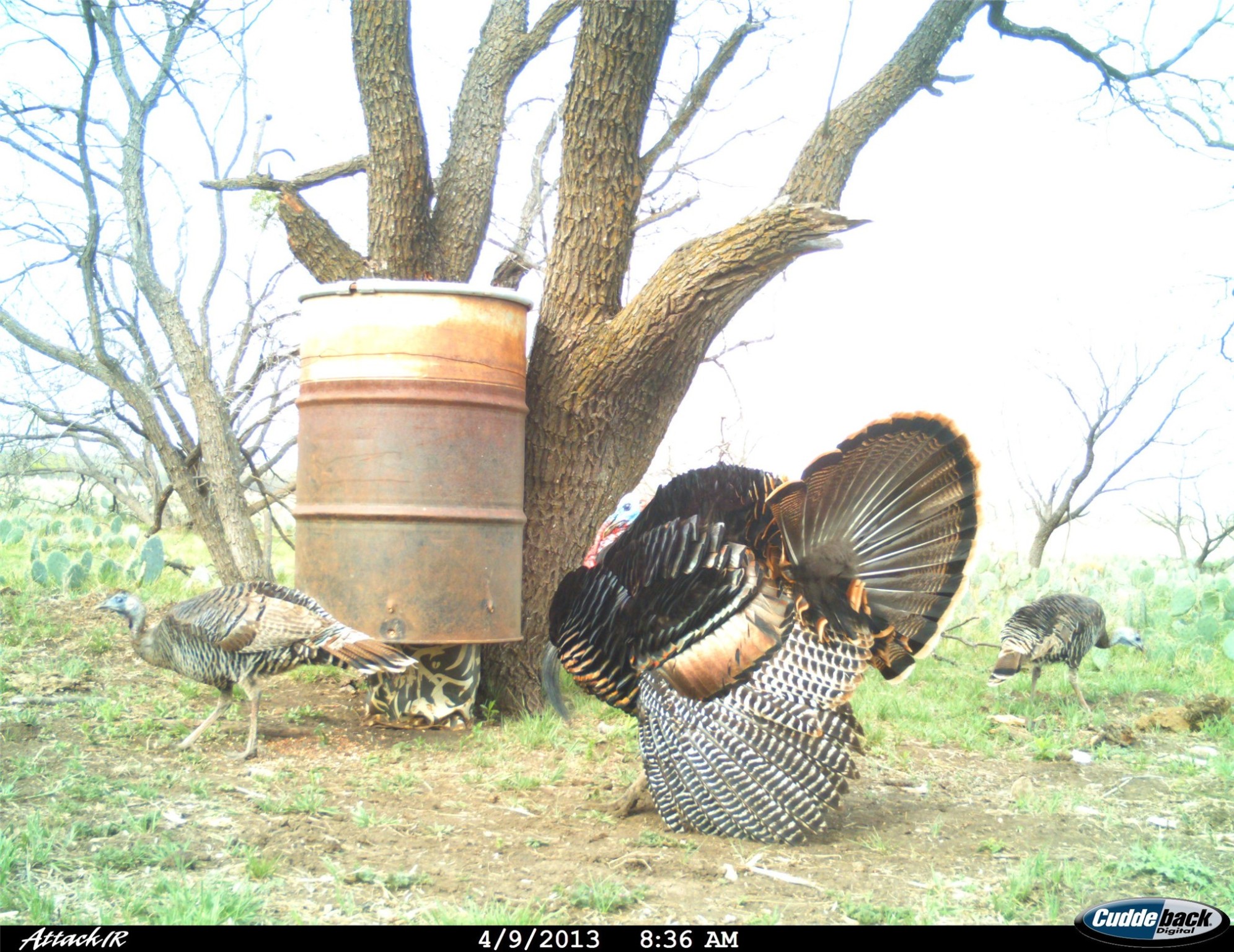 970 County Road 256 Coleman TX 76834