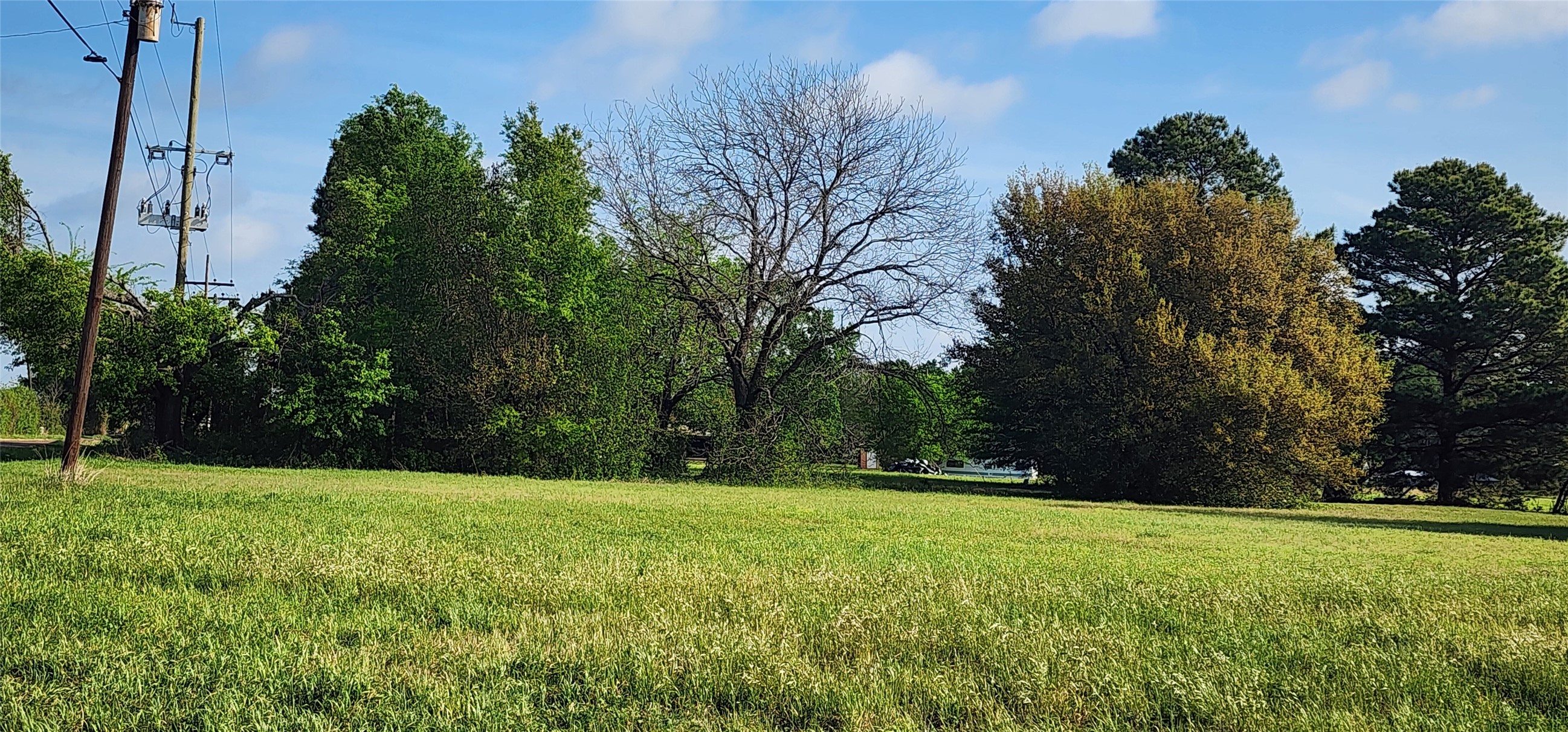 Tbd Buddy Ruth Road Trinidad TX 75163