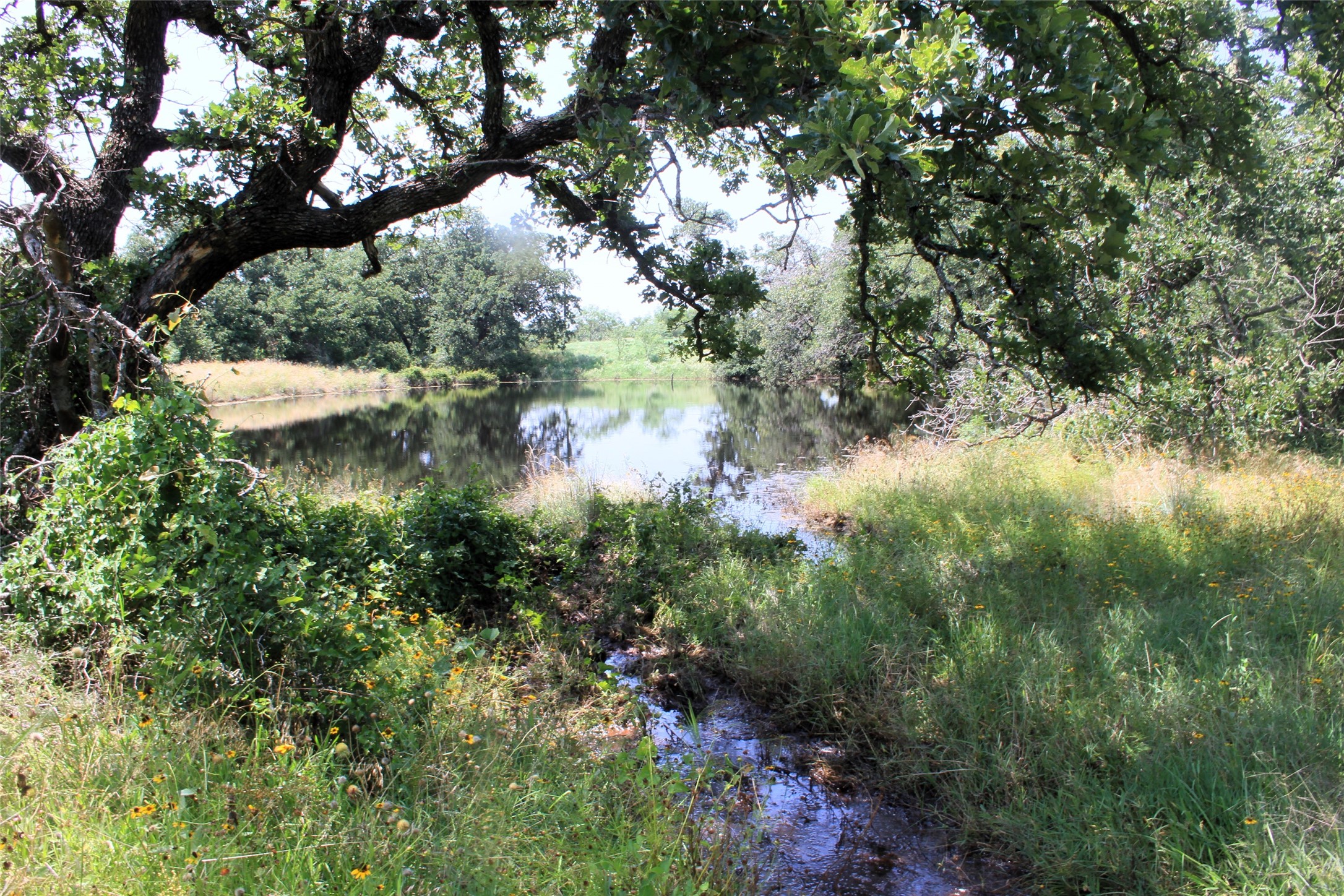 3300 Fm 45 San Saba TX 76871