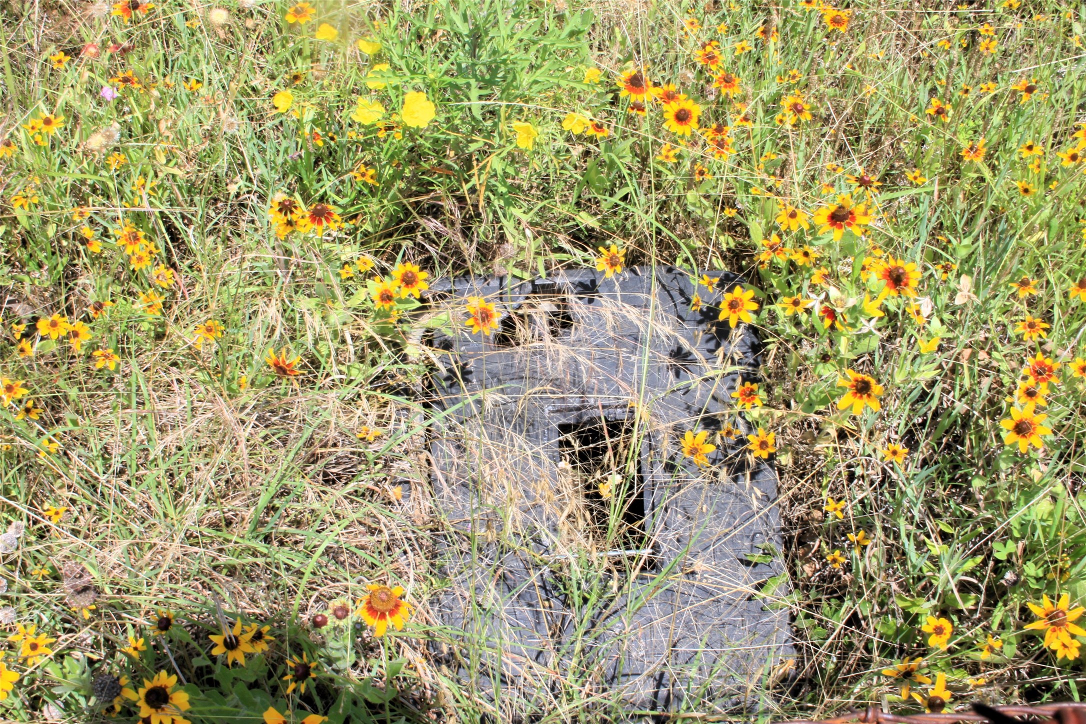 3300 Fm 45 San Saba TX 76871