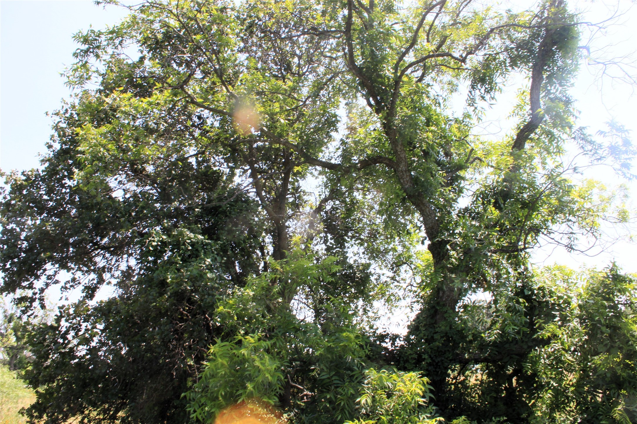 3300 Fm 45 San Saba TX 76871