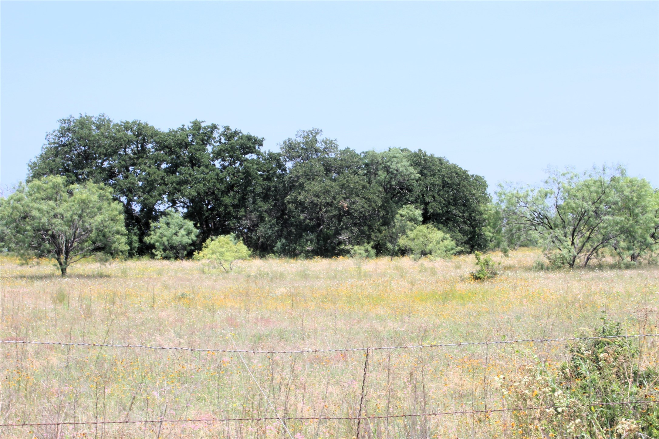 3300 Fm 45 San Saba TX 76871