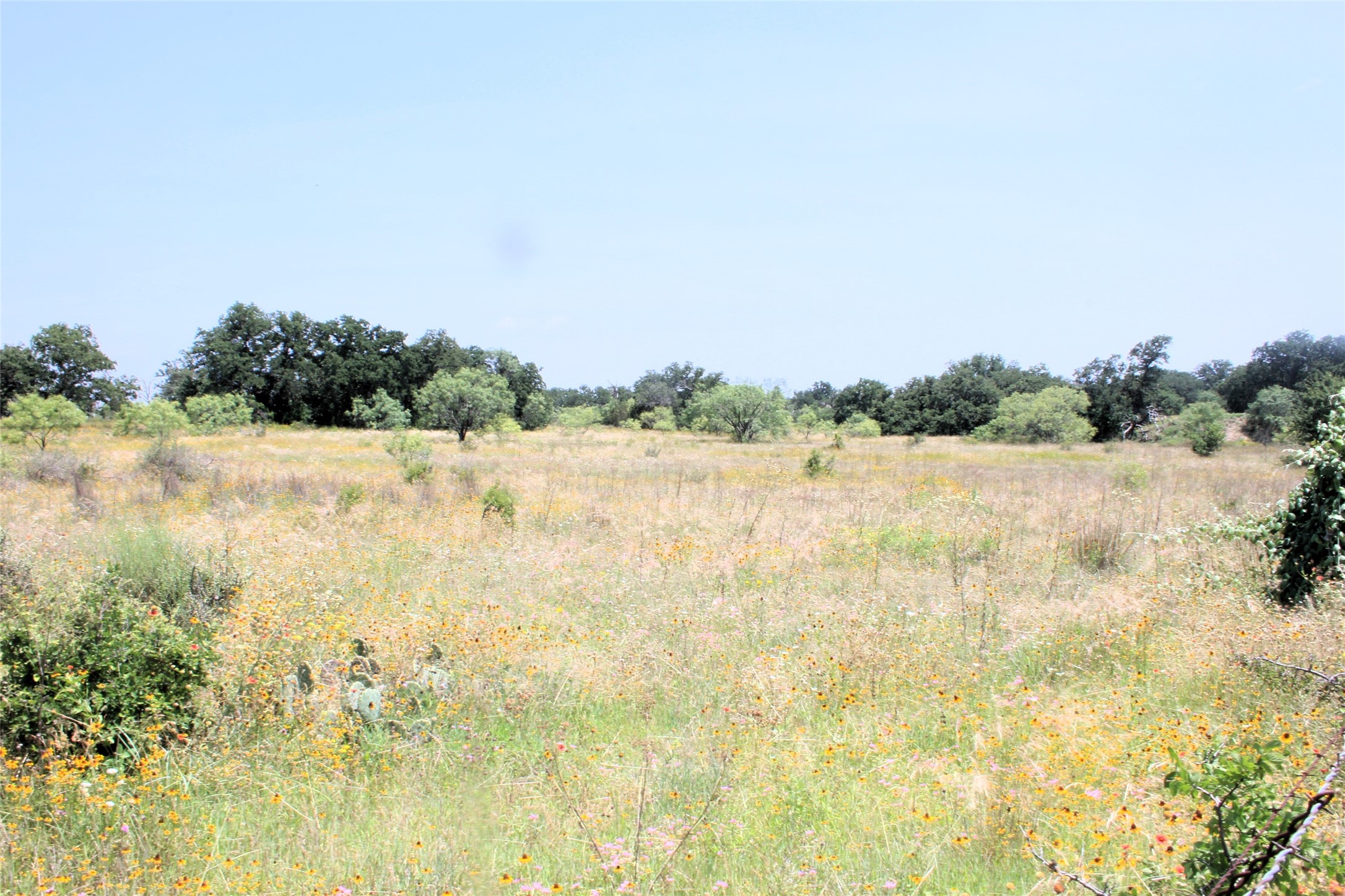 3300 Fm 45 San Saba TX 76871