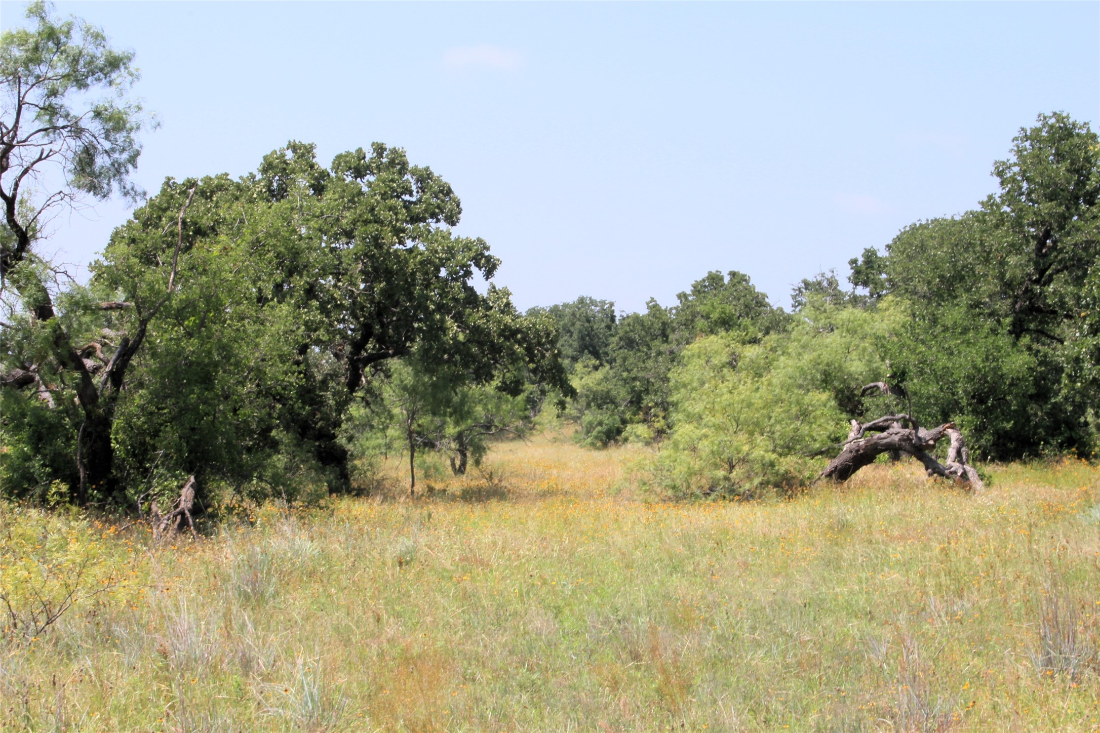 3300 Fm 45 San Saba TX 76871