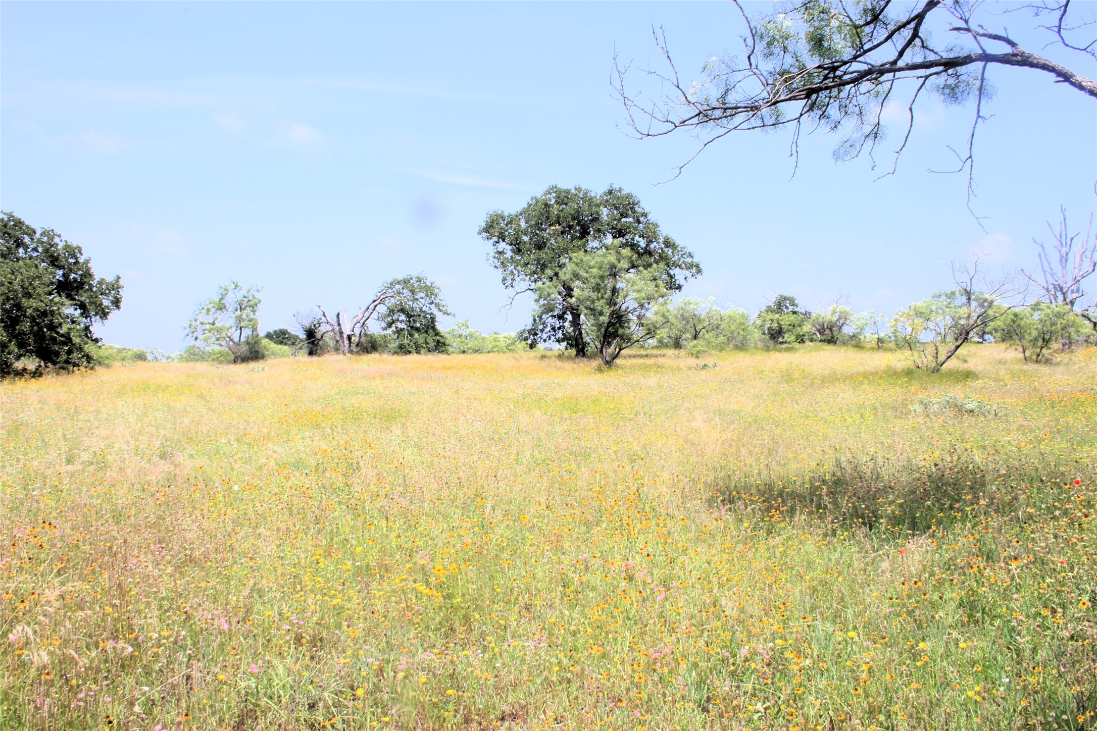 3300 Fm 45 San Saba TX 76871