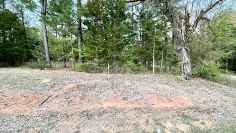 Lot 147 Navasota Mount Vernon TX 75457